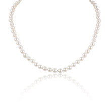 Load image into Gallery viewer, Grace -   Japanese Akoya Pearls White -Strand Necklace